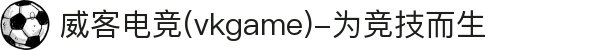 威客电竞(vkgame)-为竞技而生